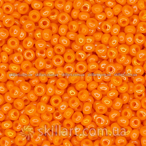 Бисер 94110 Чехия Preciosa 10/0