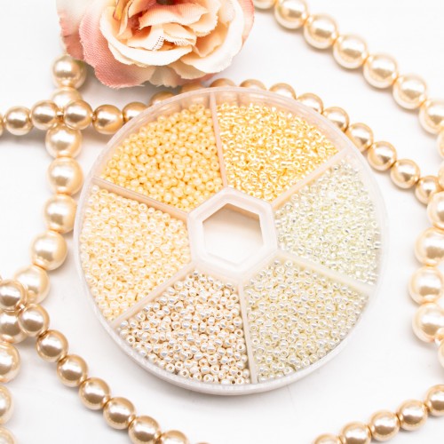 Набор бисера Preciosa 10/0 SKN-241