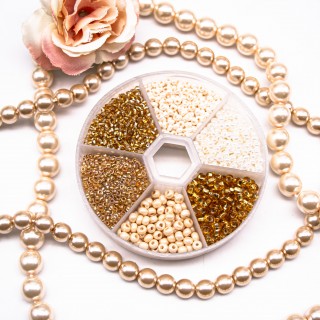 Набор бисера Preciosa 10/0 SKN-251