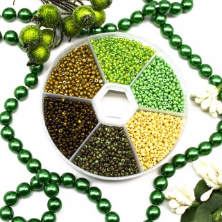 Набор бисера Preciosa 10/0 SKN-254